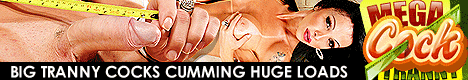 Punished by horny angry shemales
